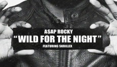 VIDEO PREMIERE - WILD FOR THE NIGHT